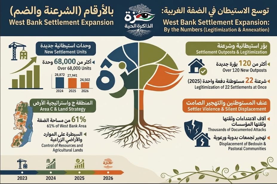 Infographic